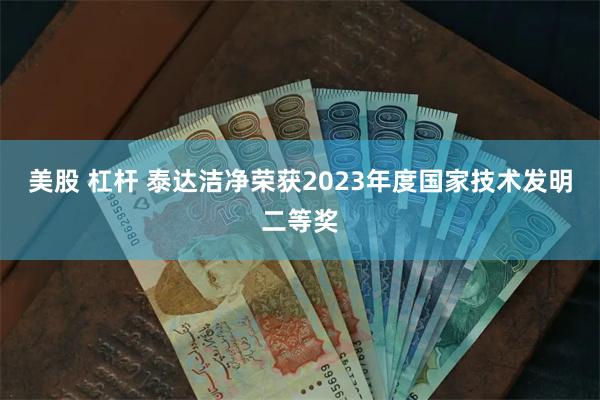 美股 杠杆 泰达洁净荣获2023年度国家技术发明二等奖