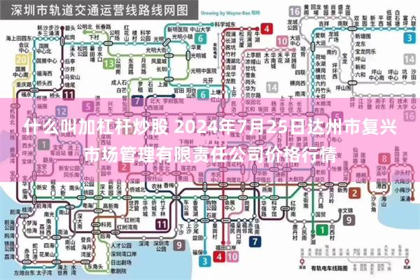 什么叫加杠杆炒股 2024年7月25日达州市复兴市场管理有限责任公司价格行情