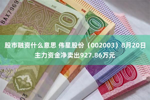 股市融资什么意思 伟星股份（002003）8月20日主力资金净卖出927.86万元