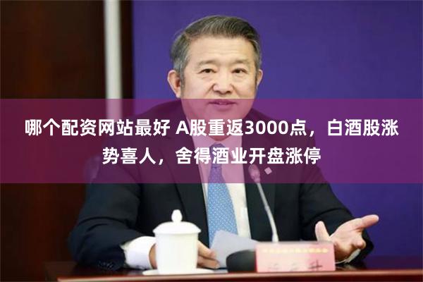 哪个配资网站最好 A股重返3000点，白酒股涨势喜人，舍得酒业开盘涨停