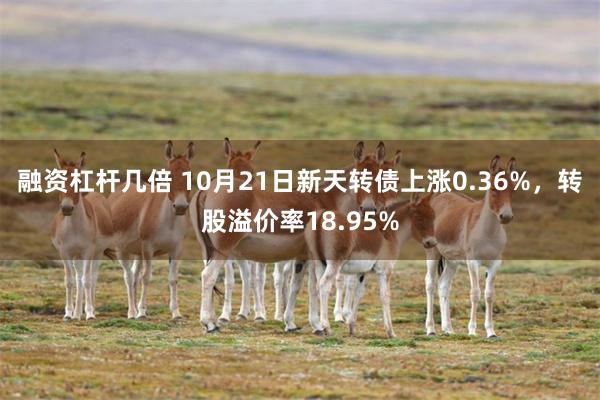 融资杠杆几倍 10月21日新天转债上涨0.36%，转股溢价率18.95%