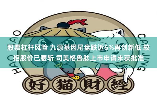 股票杠杆风险 九源基因尾盘跌近6%再创新低 较招股价已腰斩 司美格鲁肽上市申请未获批准