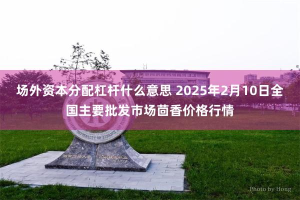 场外资本分配杠杆什么意思 2025年2月10日全国主要批发市场茴香价格行情