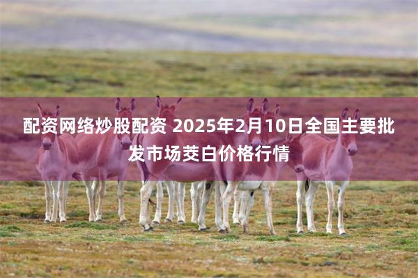 配资网络炒股配资 2025年2月10日全国主要批发市场茭白价格行情