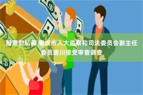 股票型私募 重庆市人大监察和司法委员会副主任委员唐川接受审查调查