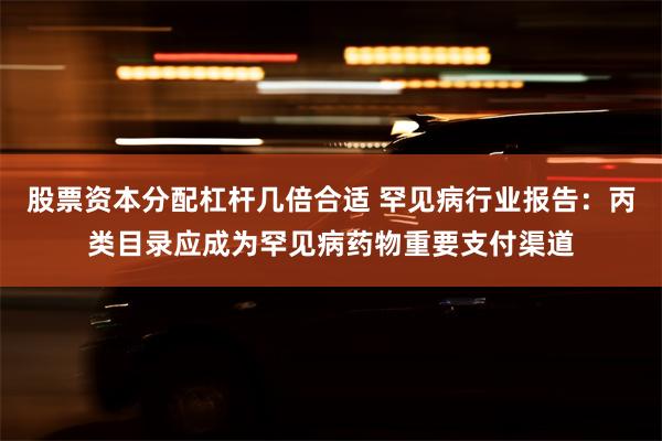 股票资本分配杠杆几倍合适 罕见病行业报告：丙类目录应成为罕见病药物重要支付渠道